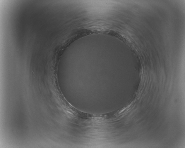 X0000070401297200606121253
