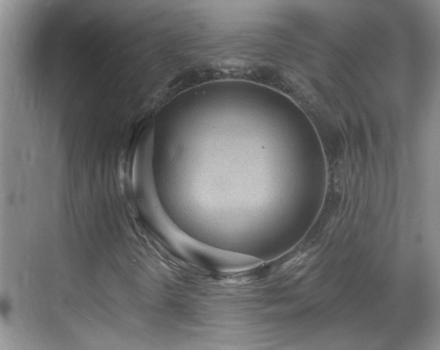 X0000070401298200606121253