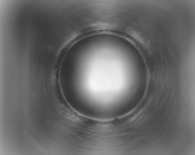 X0000070401309200606121253