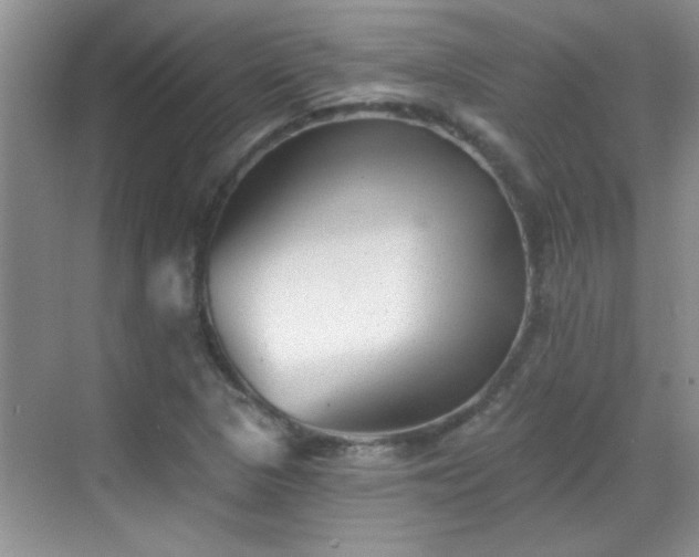 X0000070401313200606121253
