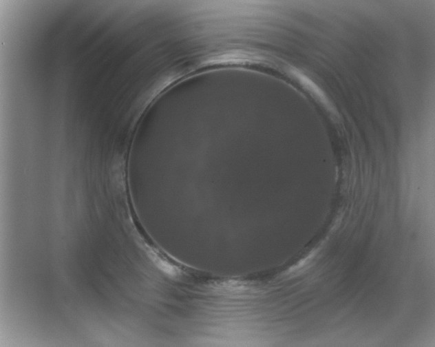 X0000070401329200606121254