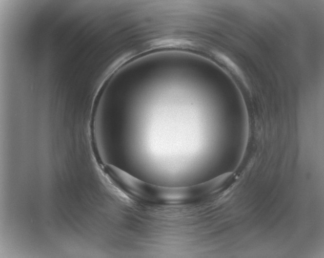 X0000070401330200606121254