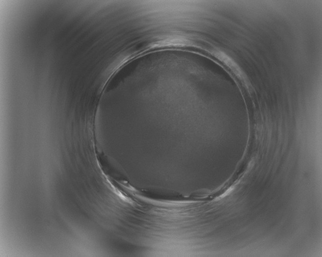 X0000070401337200606121254