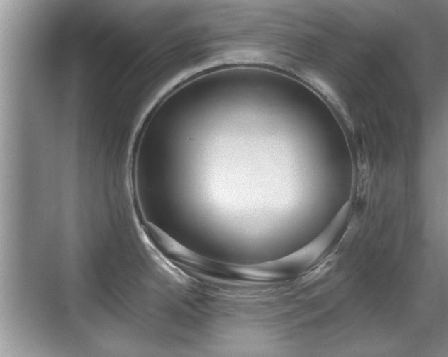 X0000070401342200606121254