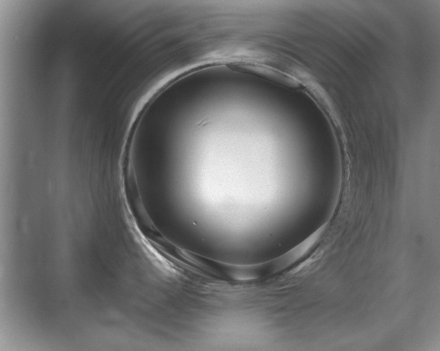 X0000070401344200606121254