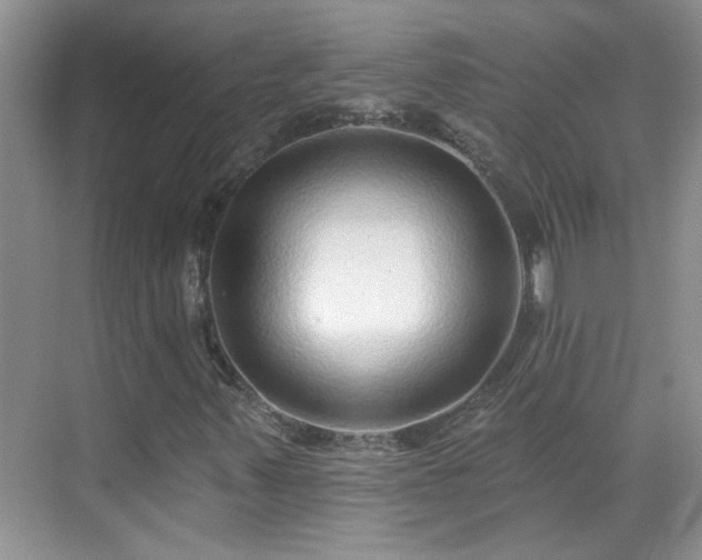 X0000070401347200606121253