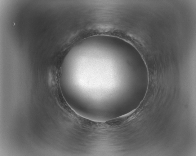 X0000070401349200606121253