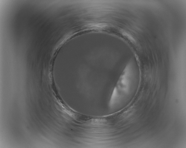 X0000070401354200606121253
