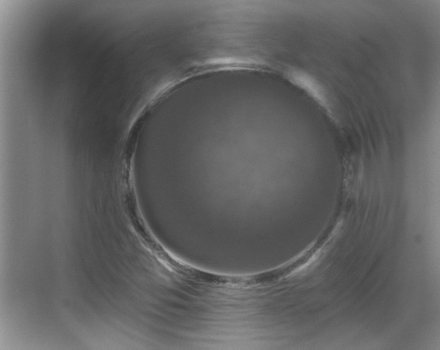 X0000070401357200606121253