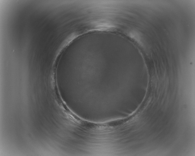 X0000070401362200606121253