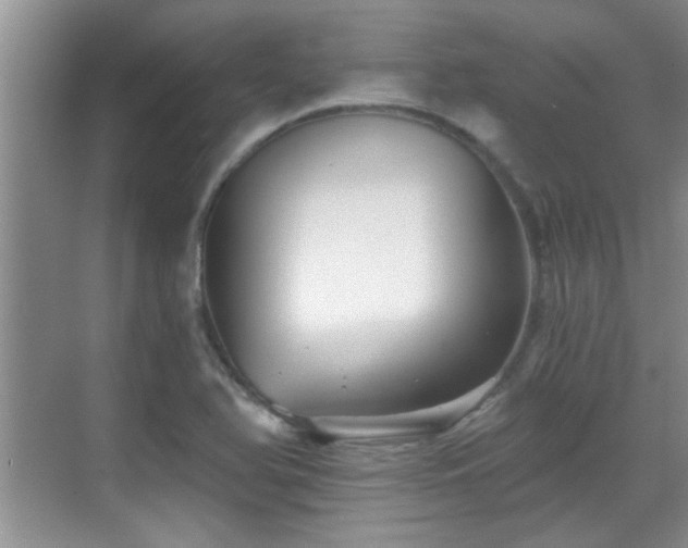 X0000070401366200606121253