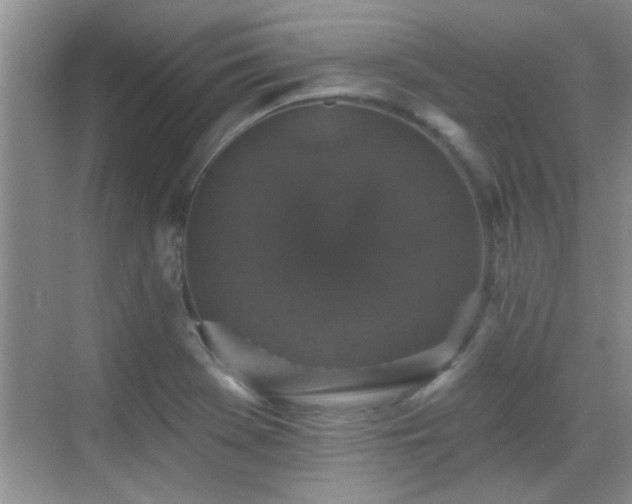 X0000070401369200606121253