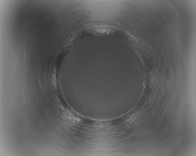 X0000070401394200606121251