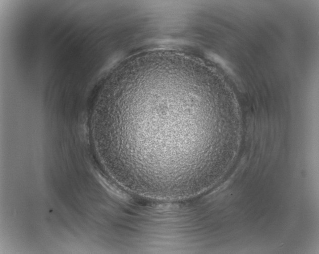X0000070401403200606121252