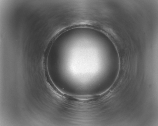 X0000070401404200606121252