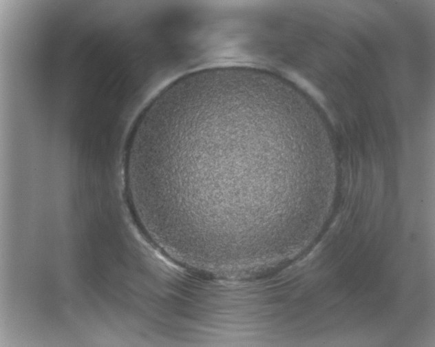 X0000070401415200606121252