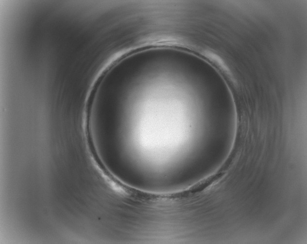 X0000070401424200606121252