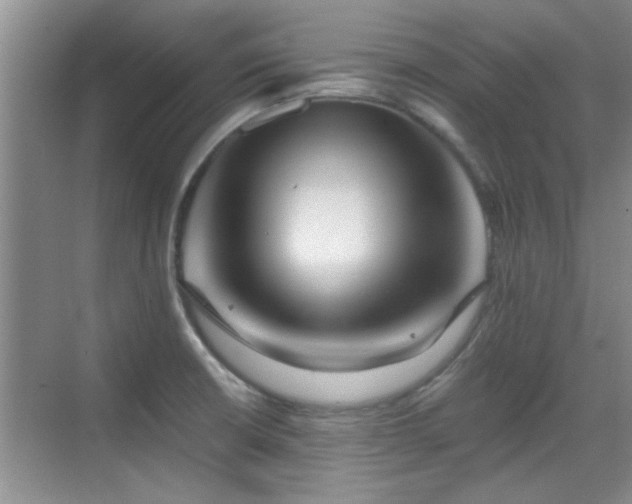 X0000070401426200606121252