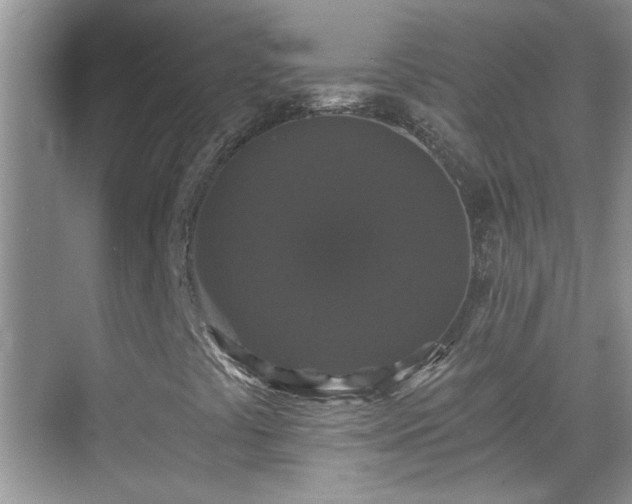 X0000070401441200606121251