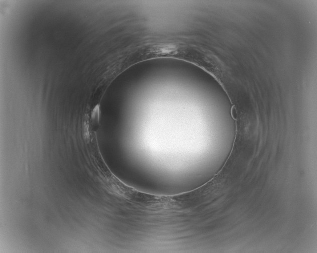 X0000070401442200606121251