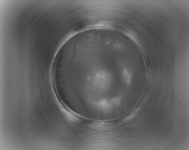 X0000070401474200606121251