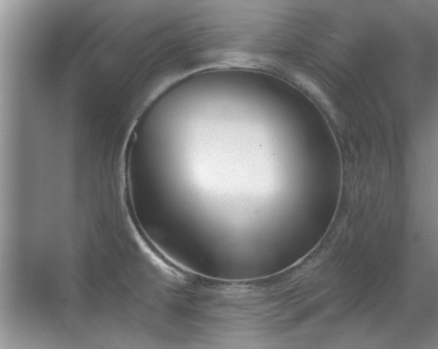 X0000070401479200606121251