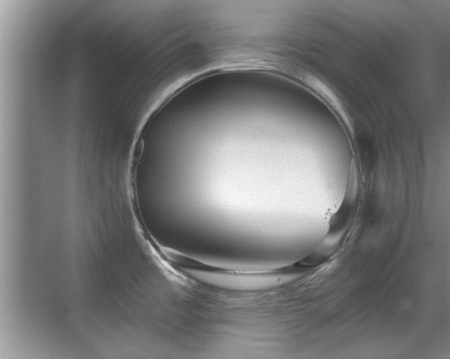 X0000070401485200606121251