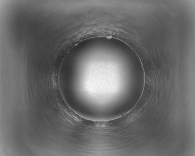 X0000070401490200606121250