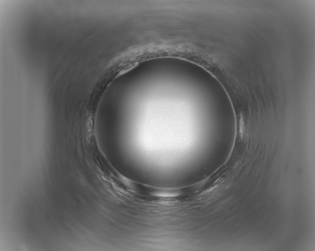 X0000070401492200606121250