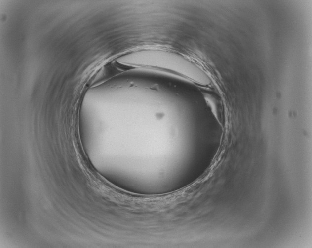 X0000070400001200606161357