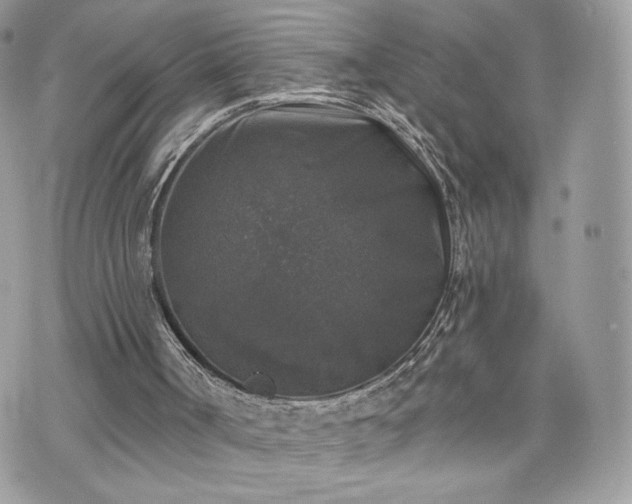 X0000070400002200606161357