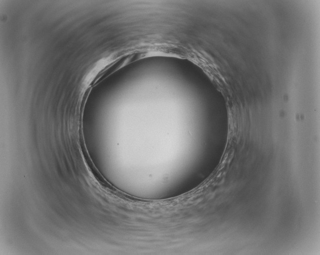 X0000070400003200606161357