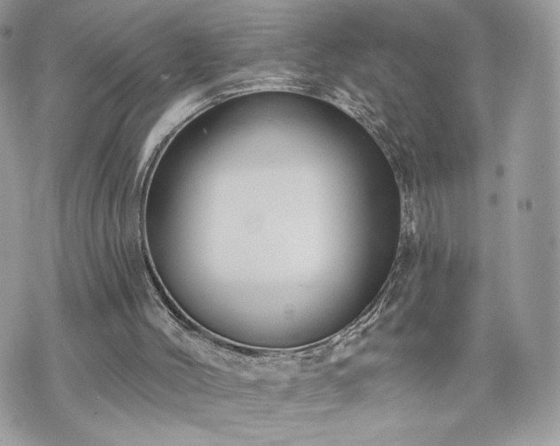 X0000070400004200606161357