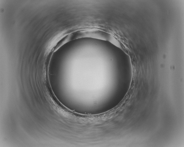 X0000070400005200606161357