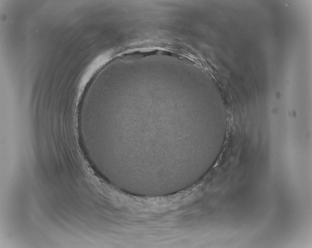 X0000070400006200606161357