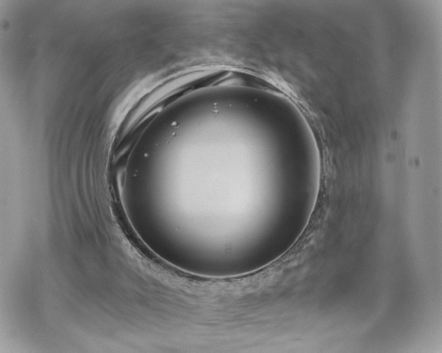 X0000070400007200606161357