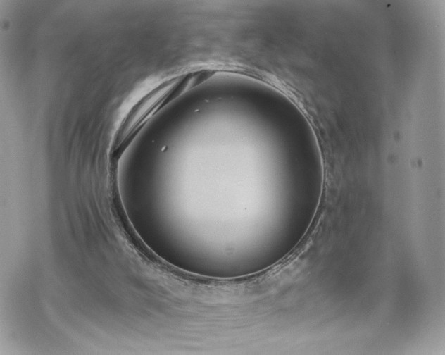 X0000070400008200606161357