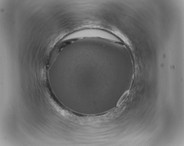 X0000070400009200606161357