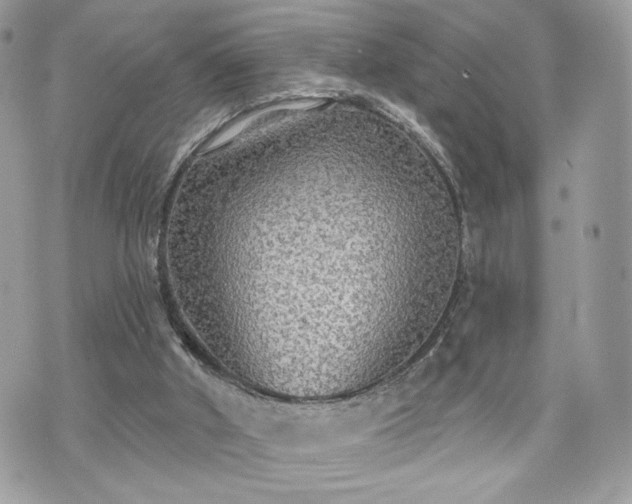 X0000070400010200606161357