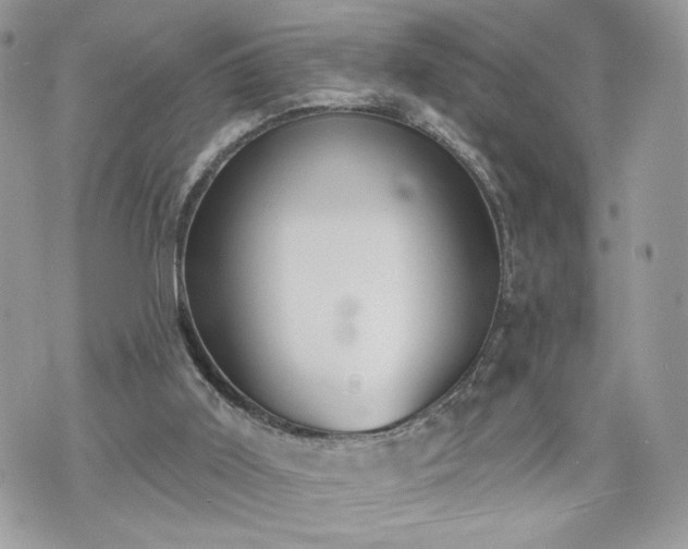 X0000070400011200606161357