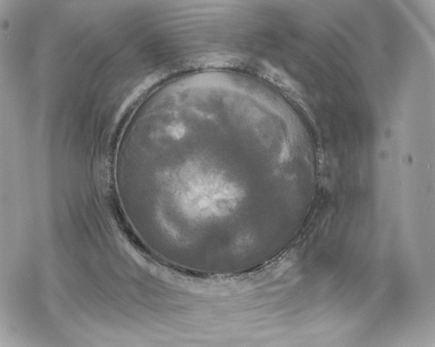 X0000070400012200606161357