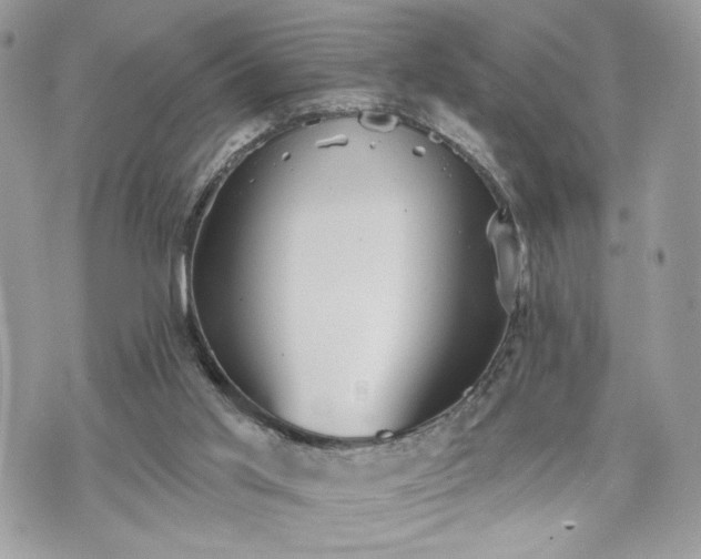 X0000070400013200606161357