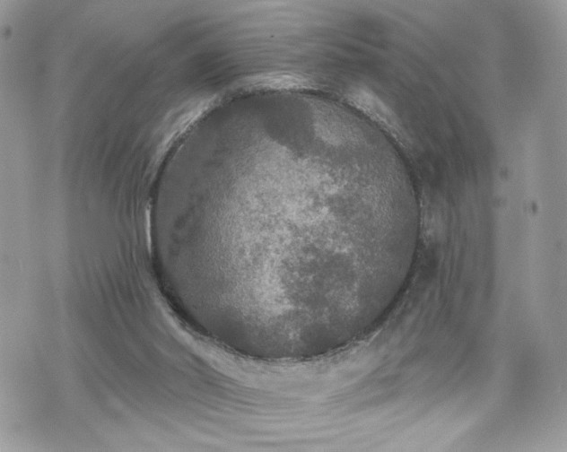 X0000070400014200606161357