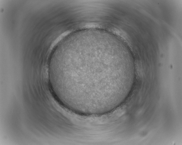 X0000070400016200606161357