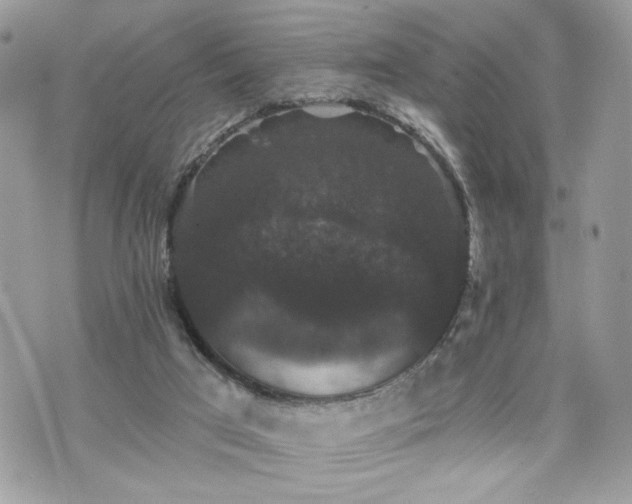 X0000070400017200606161357