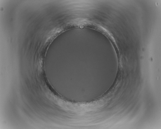 X0000070400018200606161357