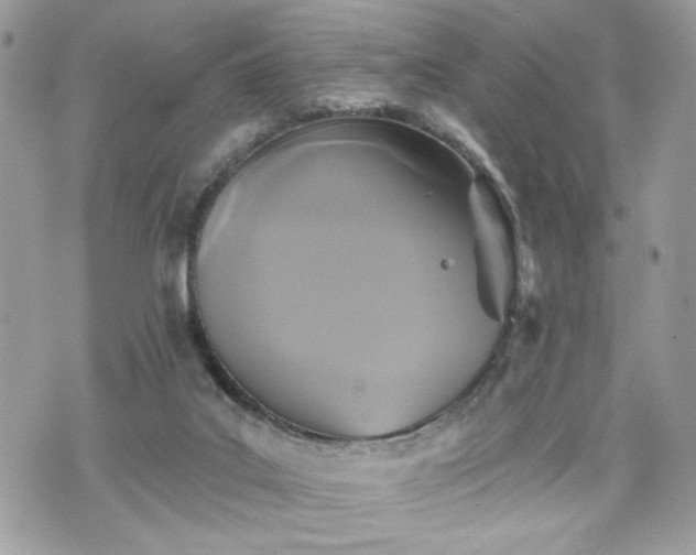 X0000070400019200606161357