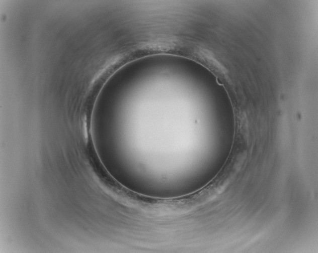 X0000070400020200606161357