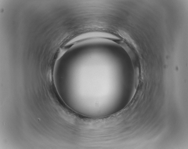 X0000070400021200606161357