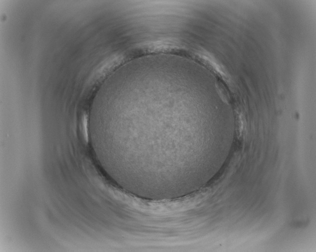 X0000070400022200606161357